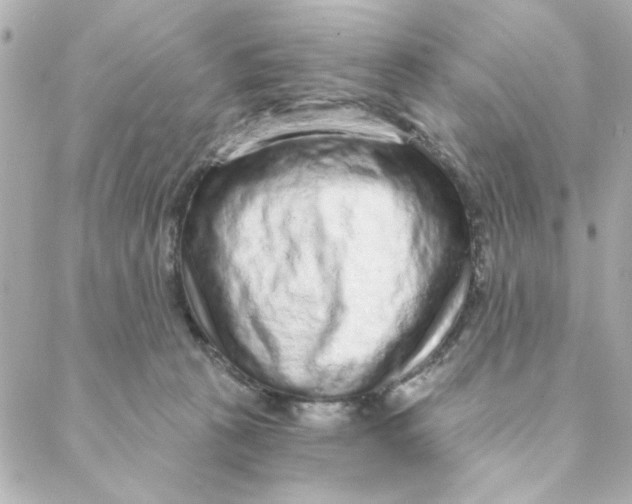 X0000088180273200706051149