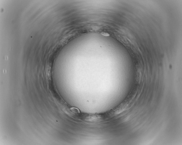 X0000088180274200706051149