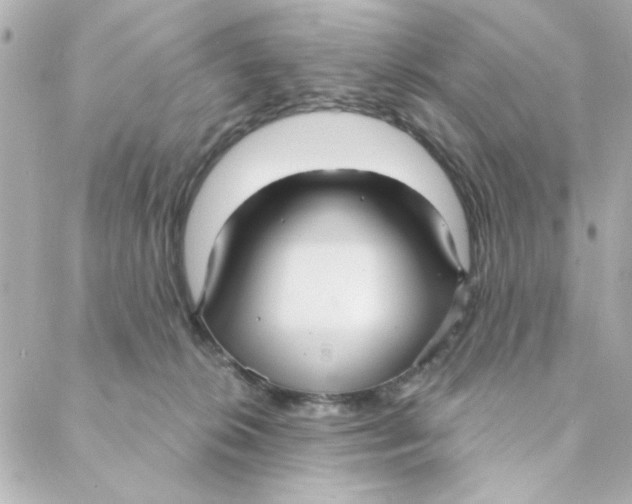 X0000088180276200706051149