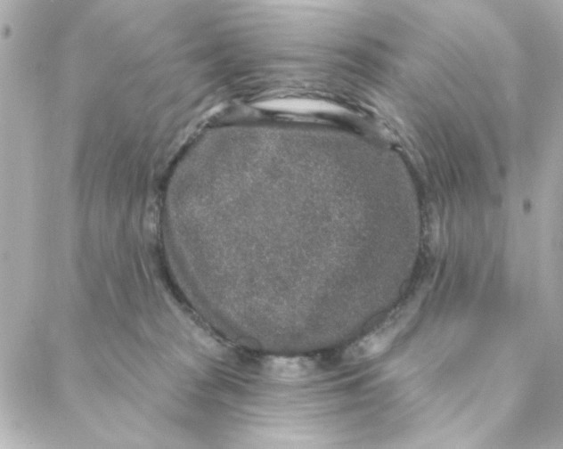 X0000088180277200706051149