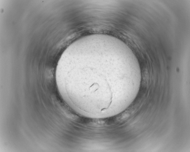 X0000088180278200706051149