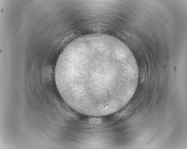 X0000088180279200706051149