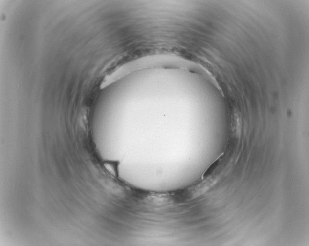 X0000088180280200706051149