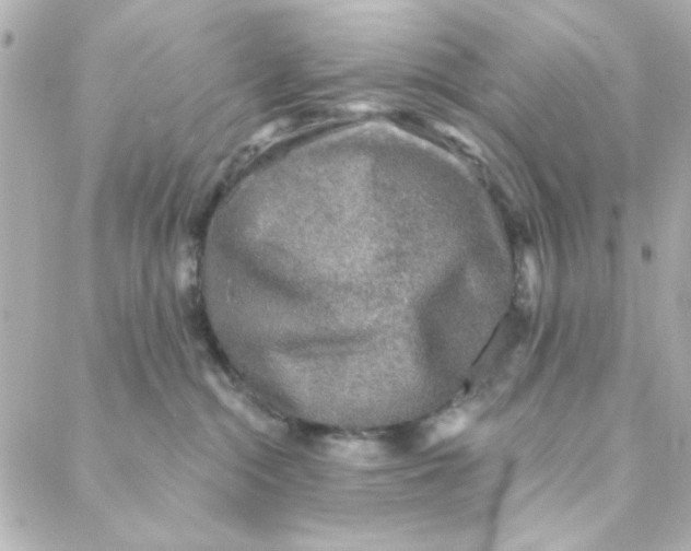 X0000088180284200706051149