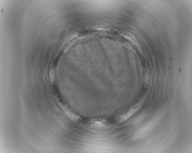 X0000088180285200706051149