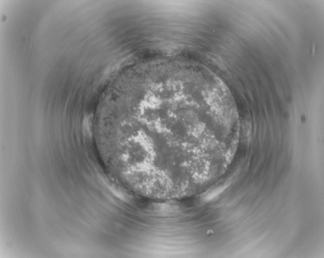 X0000088180286200706051149