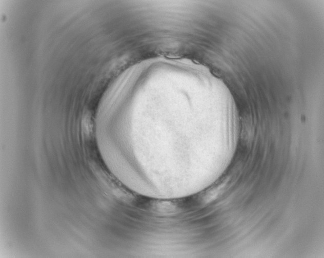 X0000088180287200706051149