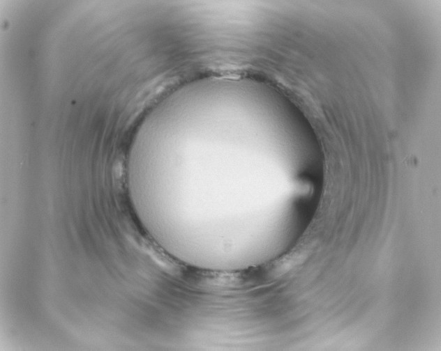 X0000088180288200706051149