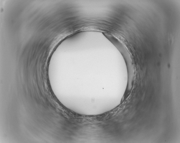 X0000088180289200706051148