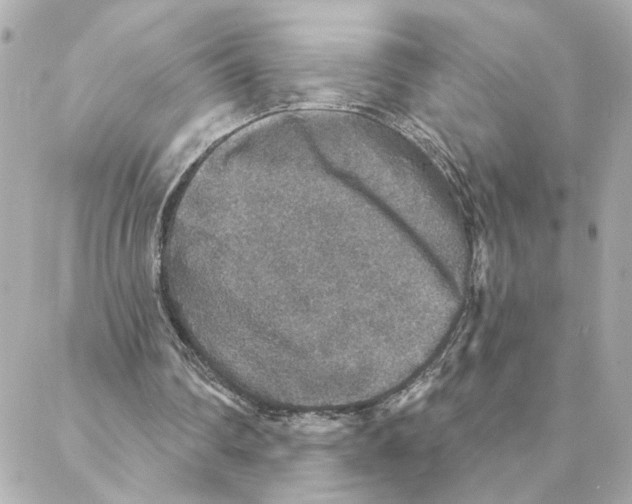 X0000088180290200706051148