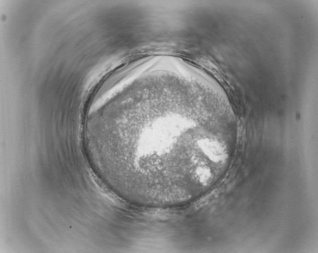 X0000088180293200706051148