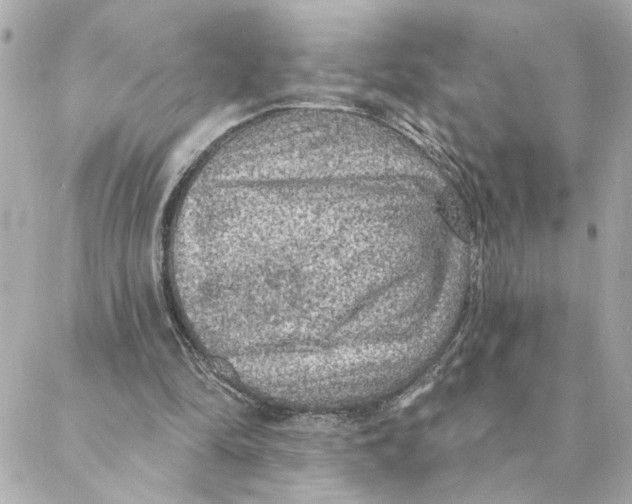 X0000088180294200706051148