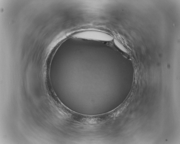 X0000088180295200706051148