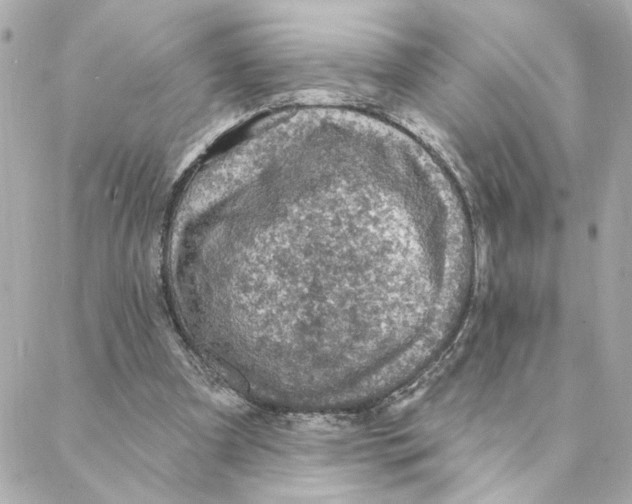 X0000088180297200706051148