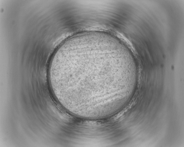 X0000088180298200706051148