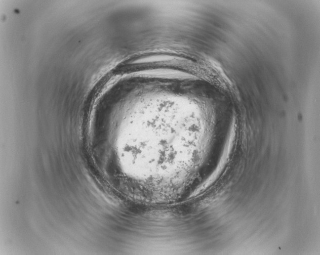 X0000088180299200706051148