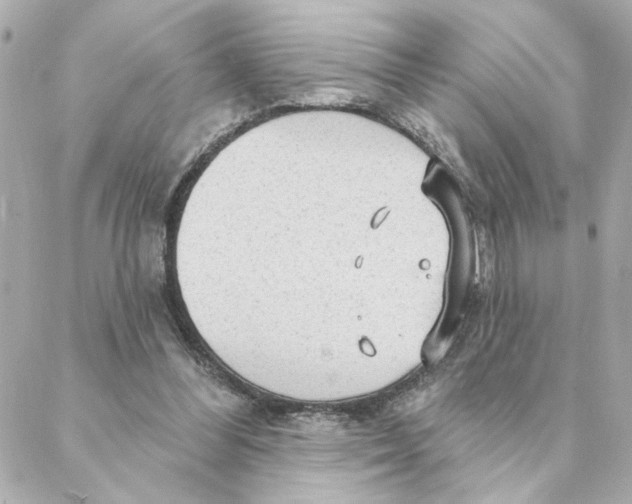 X0000088180300200706051148