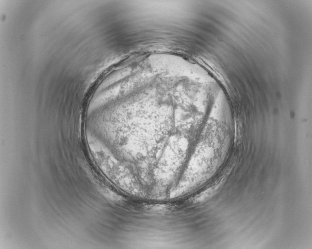 X0000088180301200706051148