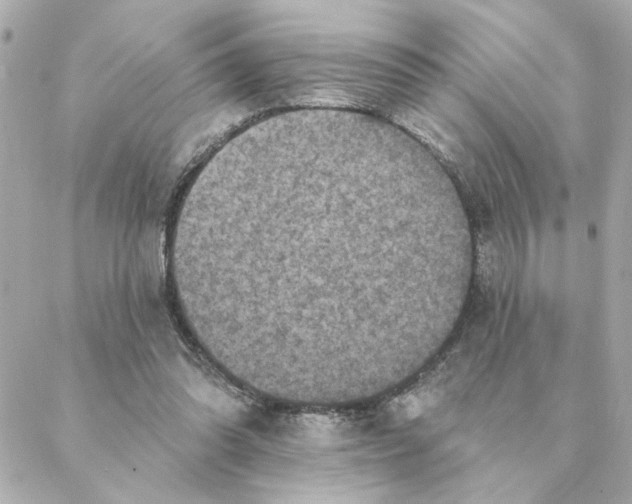 X0000088180302200706051148