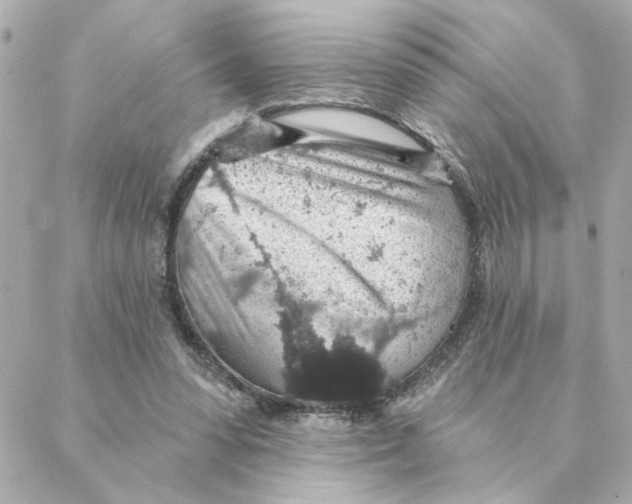 X0000088180303200706051148