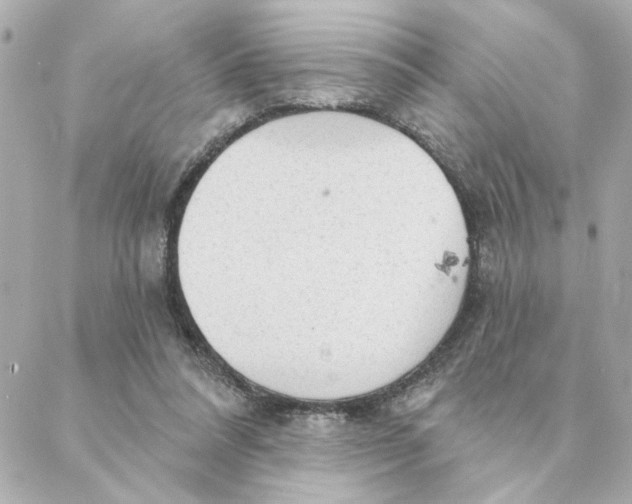 X0000088180304200706051148