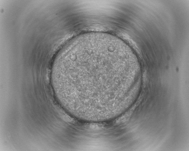 X0000088180305200706051148