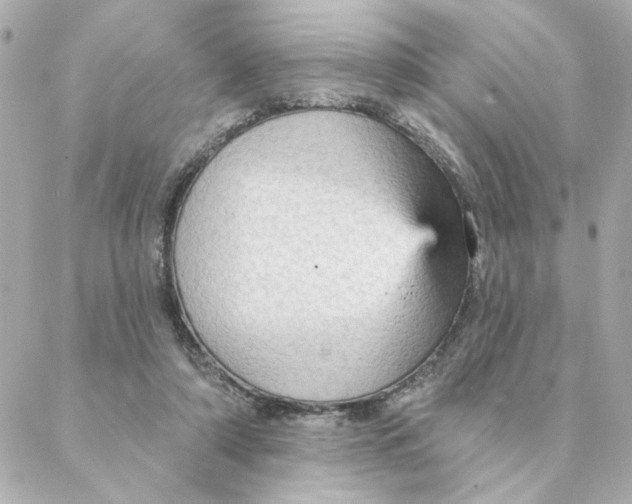 X0000088180306200706051148