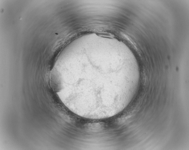 X0000088180307200706051148