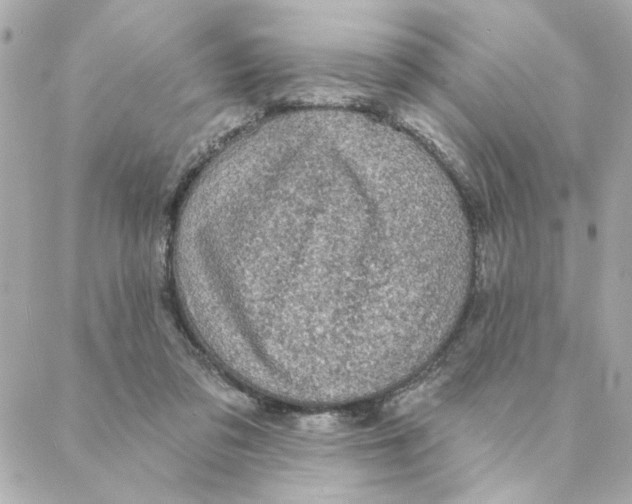 X0000088180309200706051148