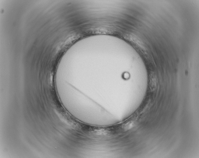 X0000088180310200706051148