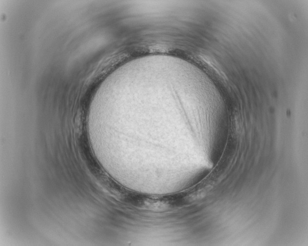 X0000088180311200706051148