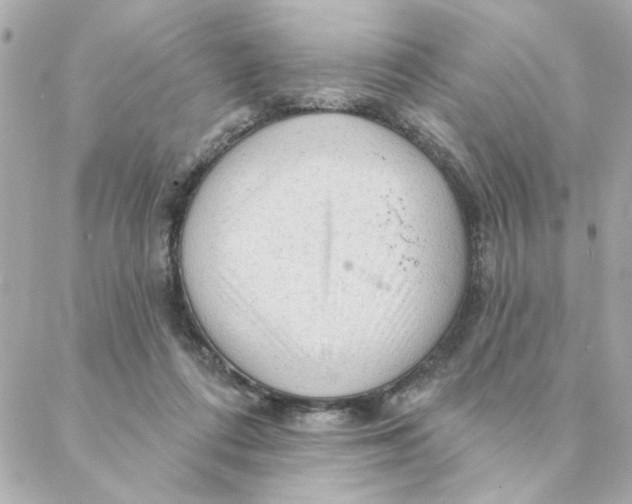 X0000088180312200706051148