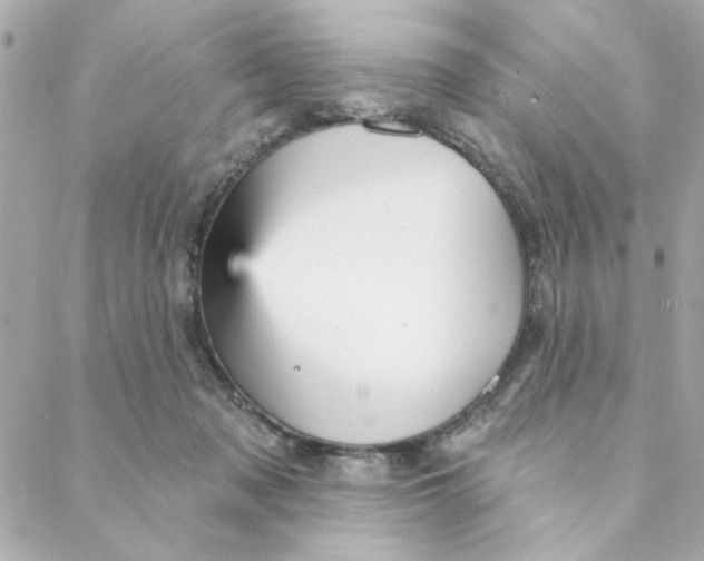 X0000088180317200706051148