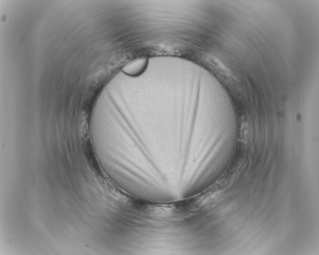 X0000088180318200706051148