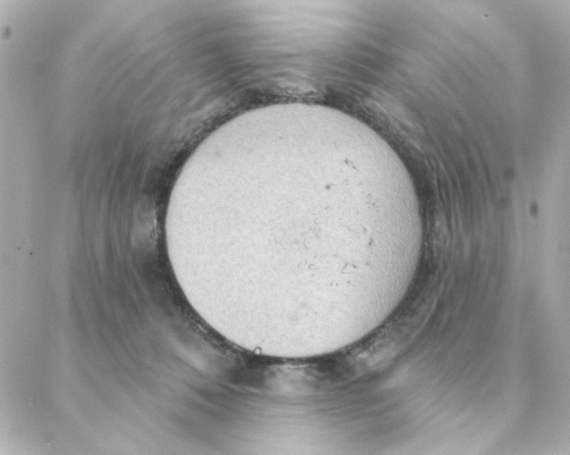 X0000088180320200706051148