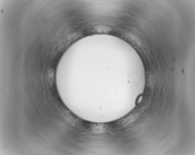 X0000088180321200706051148