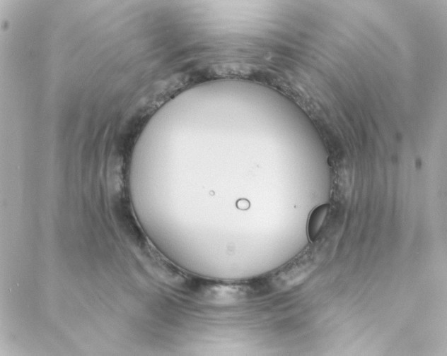 X0000088180323200706051148