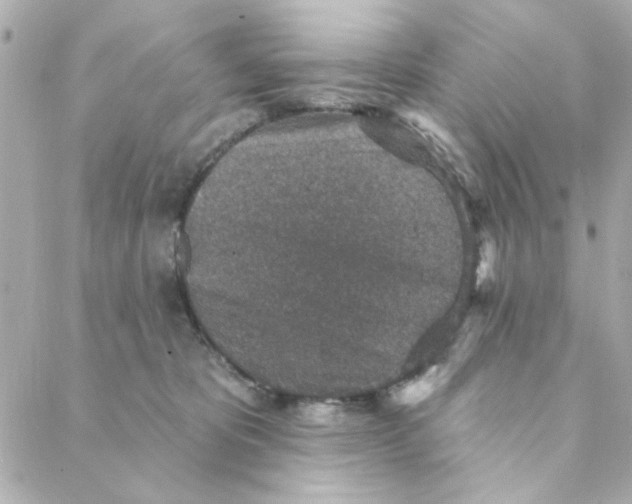 X0000088180325200706051148