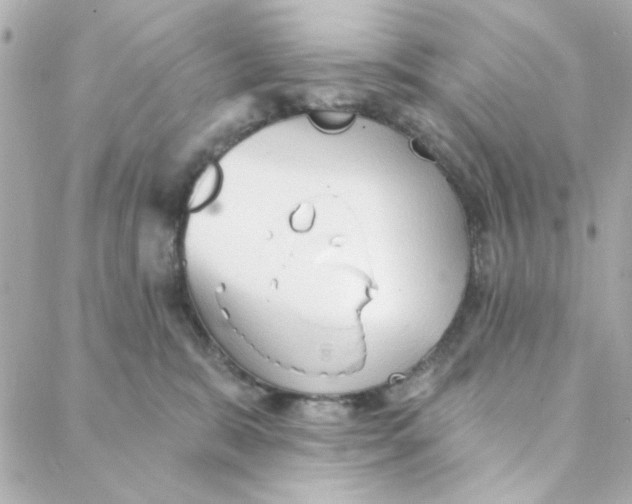 X0000088180327200706051148