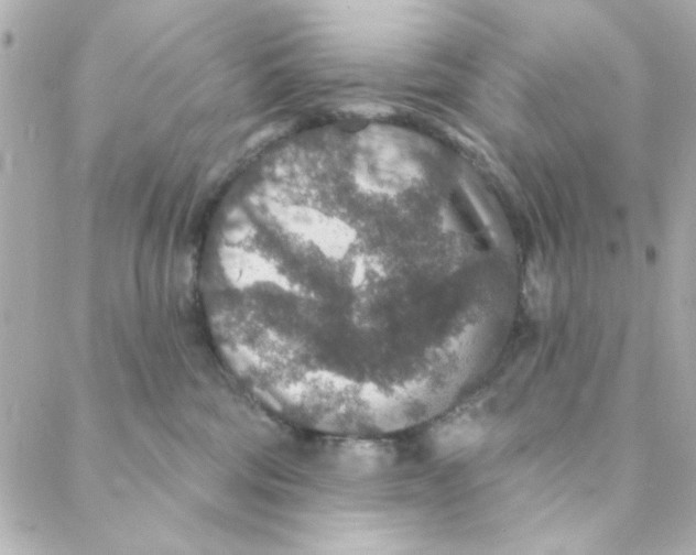 X0000088180330200706051148