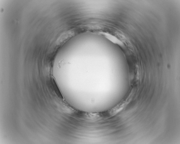 X0000088180333200706051148