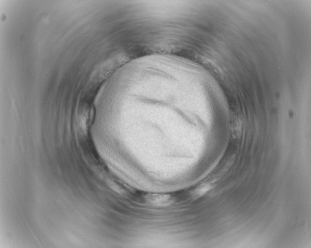 X0000088180334200706051148