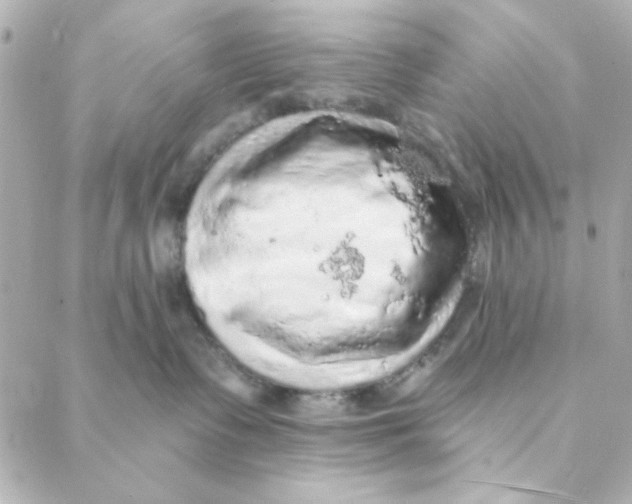 X0000088180335200706051148