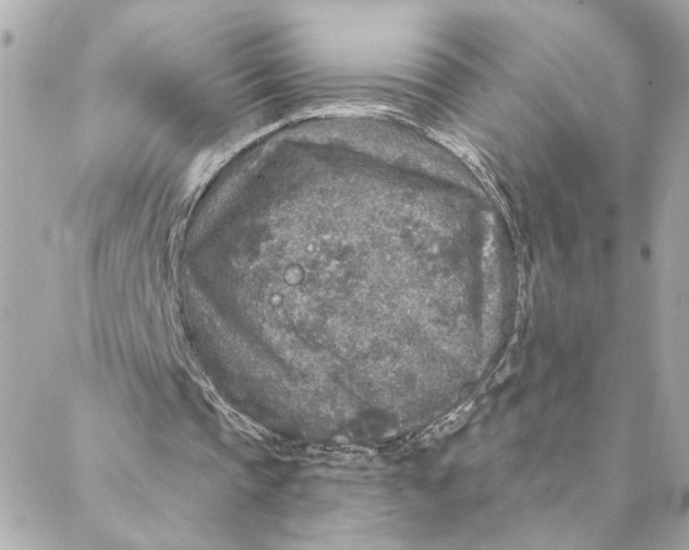 X0000088180337200706051147