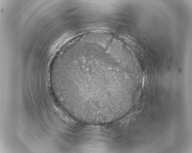 X0000088180339200706051147