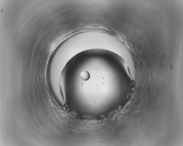 X0000088180340200706051147