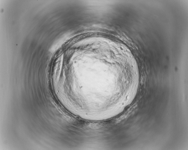 X0000088180341200706051147