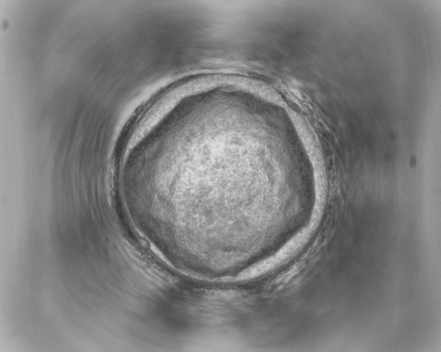 X0000088180342200706051147