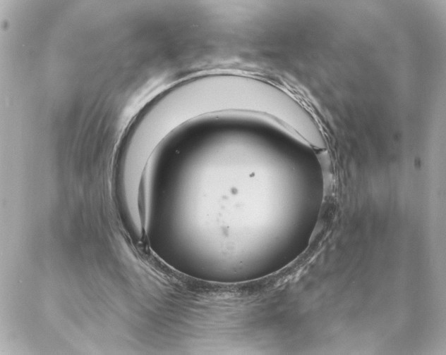 X0000088180344200706051147