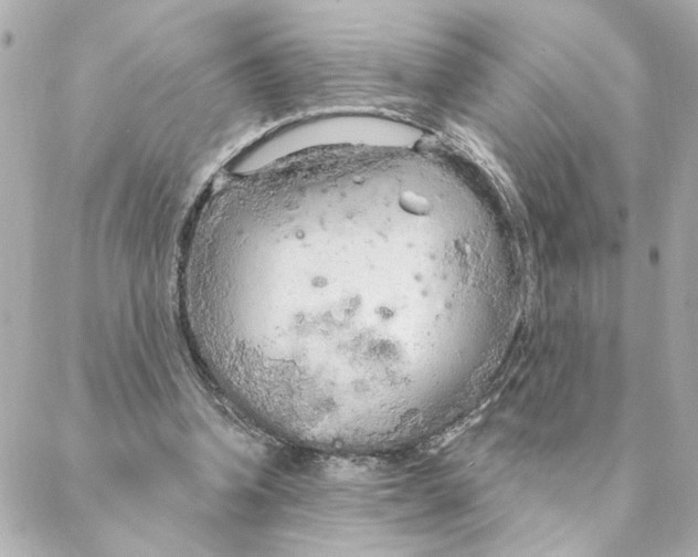 X0000088180346200706051147